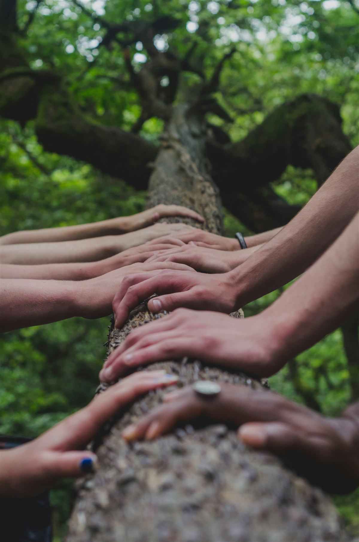 Mains unies en cercle, symbole du réseau solidaire